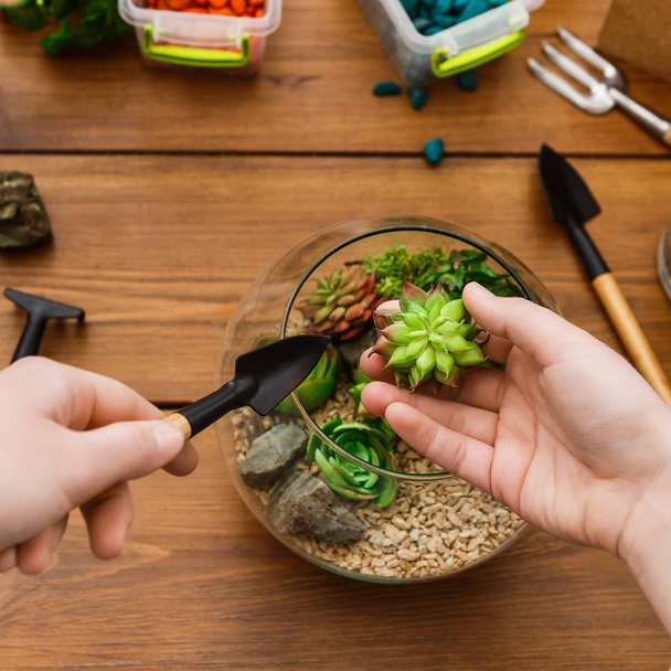 Женщина сажает сочные растения в стеклянную вазу для флорария на деревянный стол
. - Фото, изображение