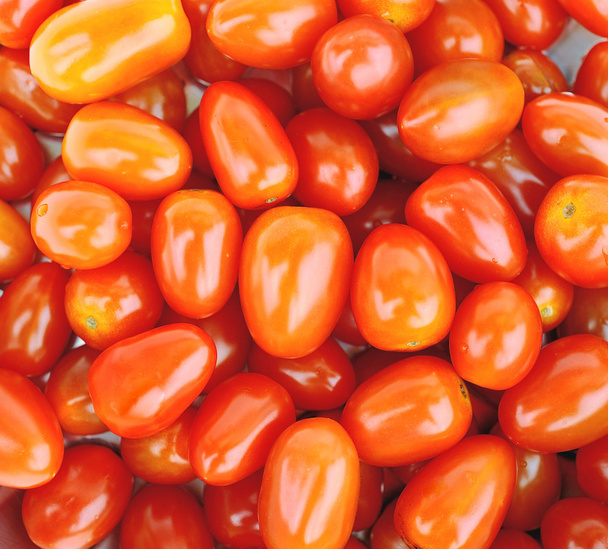 Tomates - Foto, Imagen