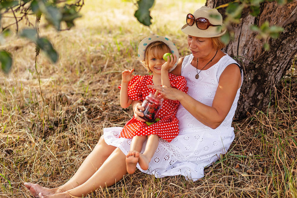 Happy grandmother with granddaughter spend a fun time hugging together in summer outdoors. Rest under a tree eat berries and apples. Family and healthy food - Foto, imagen