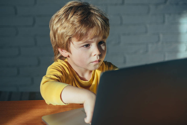 Criança usando laptop. Perigo da internet. Smart Young Boy trabalha em um laptop para seu novo projeto em sua classe de ciência da computação. Crianças Índigo Inteligentes. Nova geração digital
. - Foto, Imagem