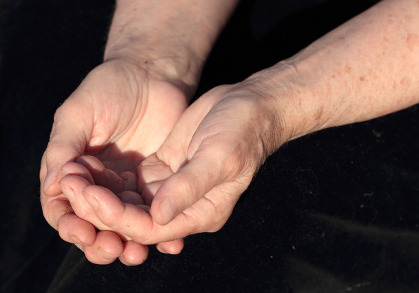 Hands of an elderly woman - Foto, Imagem