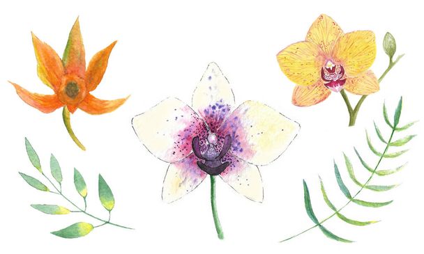 Akvarel oranžová a žlutá orchideje, zanechává ruku kreslené květinové ilustrace izolované na bílém pozadí - Fotografie, Obrázek