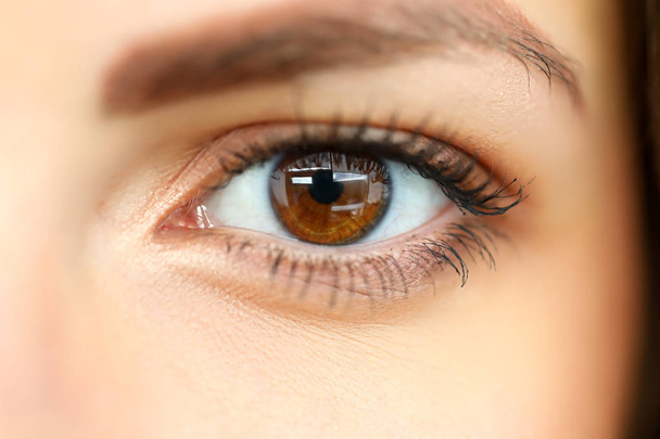 Female left brown coloured amazing shiny eye - Photo, Image