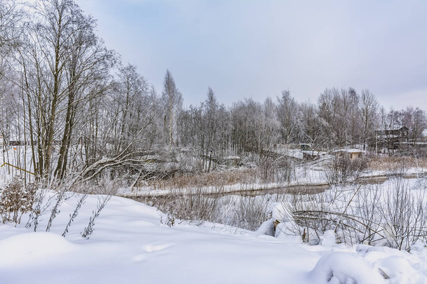 Морозний зимовий день в передмісті Санкт-Петербурга. Сніжне місяць січня.  - Фото, зображення
