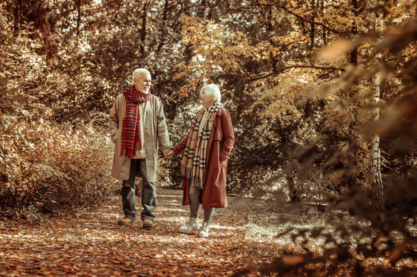 Senior woman and man walking together in a park. - 写真・画像