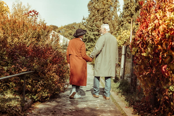 Senior couple walking in a park holding hands. - Zdjęcie, obraz