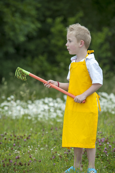 gardening, cute little boy with rake, outdoors - Valokuva, kuva