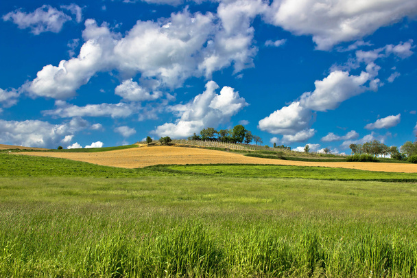 Paysages naturels verts sous le ciel bleu
 - Photo, image