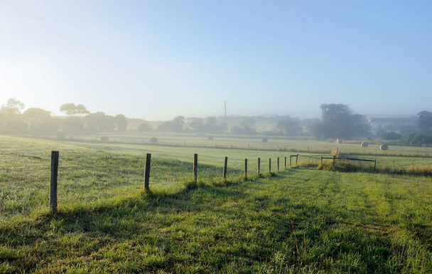 Foggy matin dans la campagne de l'Australie
. - Photo, image