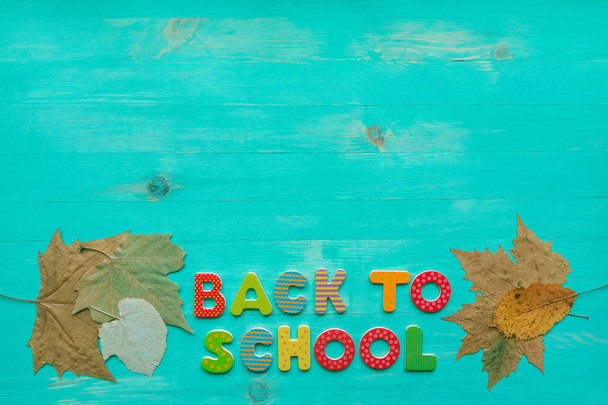 Back to school concept. Top view of colorful text and autumn dry leaves banner over wooden background with copy space. - Photo, Image