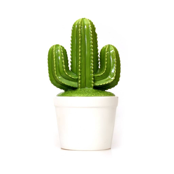 Cactus in ceramica isolato su sfondo bianco per creare poster simbolici, cartoline e sfondi, nonché per qualsiasi altra idea di design - Foto, immagini