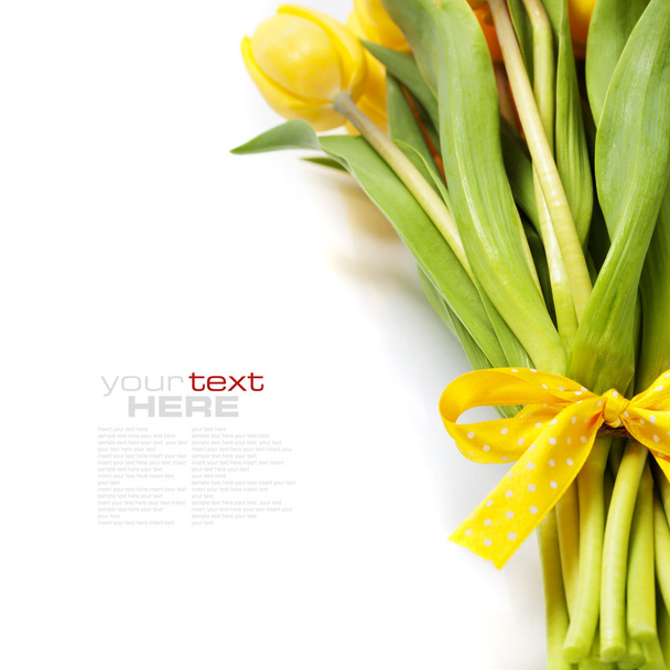 yellow tulips - Zdjęcie, obraz