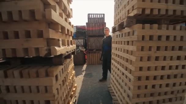 Ένας νεαρός εργάτης με ομοιόμορφη βόλτες μεταξύ ξύλινων παλετών στην υπαίθρια αποθήκη διανομής. Αργή κίνηση - Πλάνα, βίντεο