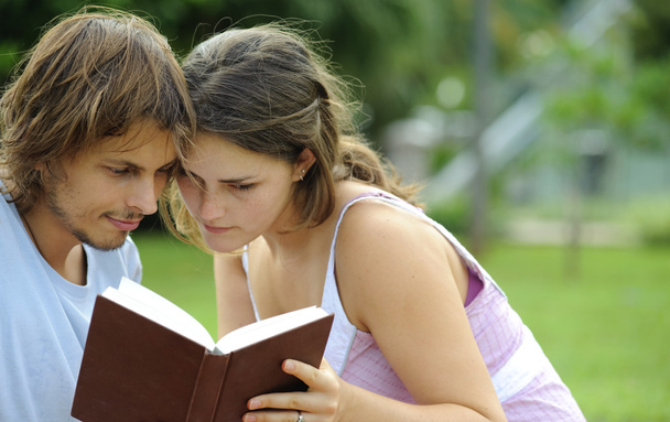 A boyfriend and girlfriend reading a book in a park - 写真・画像