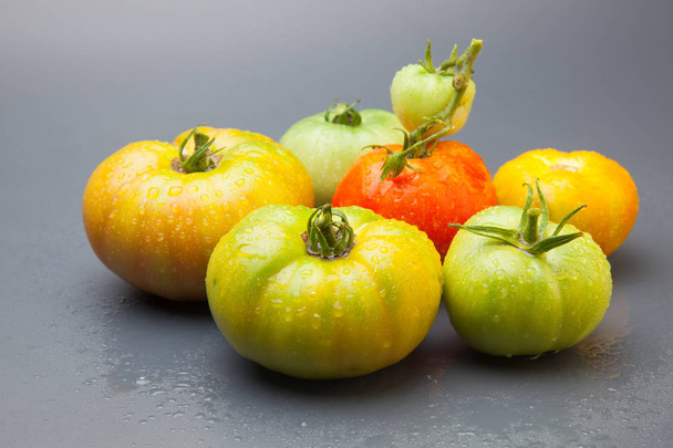 grüne Tomate, rote Tomate, Reifeprozess. Tomaten werden grün gepflückt und dürfen außerhalb des Busches reifen, außerhalb der Pflanze, in Kühlschränken reifen, so dass sich der Verkaufsprozess verlängert und mehr Tage auf dem Markt sind.. - Foto, Bild