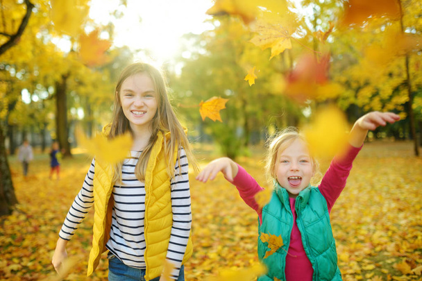 Two cute young sisters having fun on beautiful autumn day. Happy children playing in autumn park. Kids gathering yellow fall foliage. - Zdjęcie, obraz