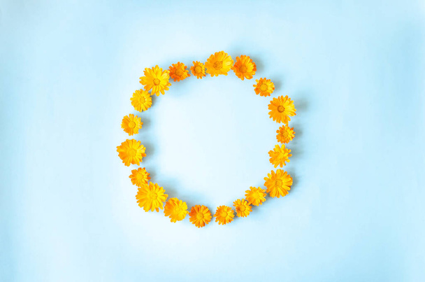 kleine orangefarbene Blüten auf hellblauem Hintergrund. - Foto, Bild