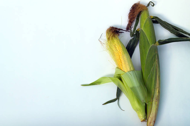fresh corns on cob isolated on white background - Foto, Imagem