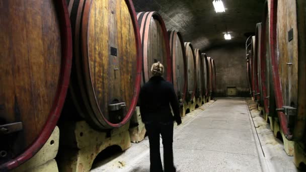 shot van een vrouw controleren de vaten in de wijnkelder - Video