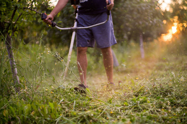 Trabajador siega hierba verde con una máquina de recorte - Foto, Imagen