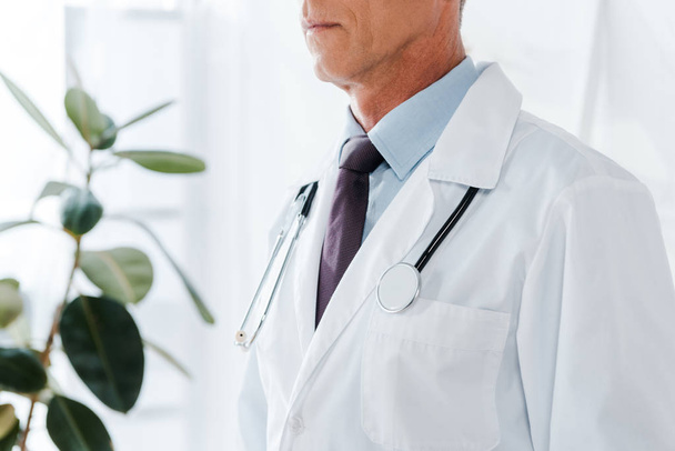 vue recadrée du médecin en manteau blanc et stéthoscope debout dans la clinique
  - Photo, image