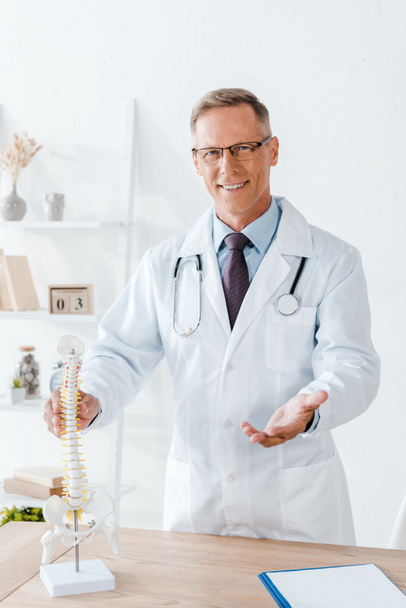 cheerful doctor in glasses and white coat touching spine model  - Photo, Image