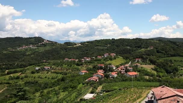 panoramische opname van willage in de buurt van gorizia met een heleboel wijngaarden - Video