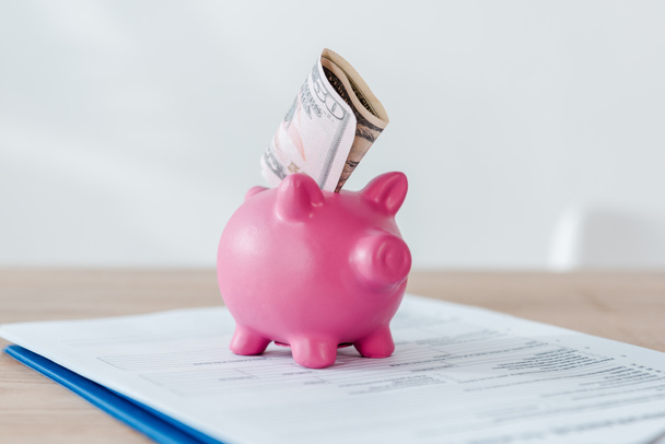 pink piggy bank with dollar banknote on clipboard  - Foto, Imagen