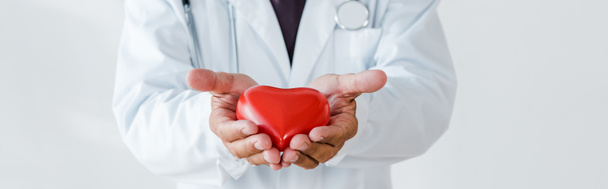 panoramatický záběr lékaře držící červený srdeční model v rukou na bílém - Fotografie, Obrázek