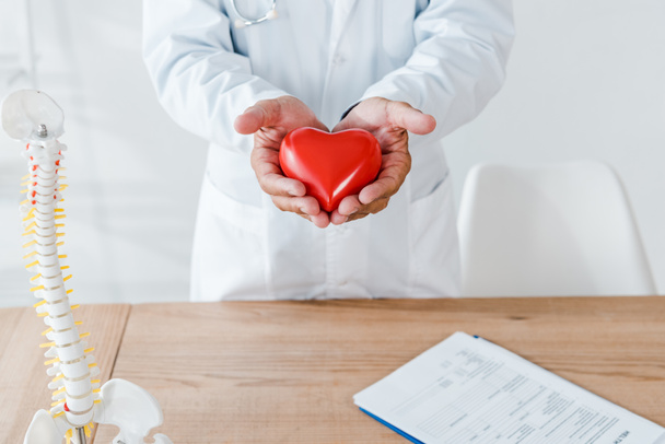 bijgesneden beeld van arts Holding rood hart model in handen bij de tafel  - Foto, afbeelding