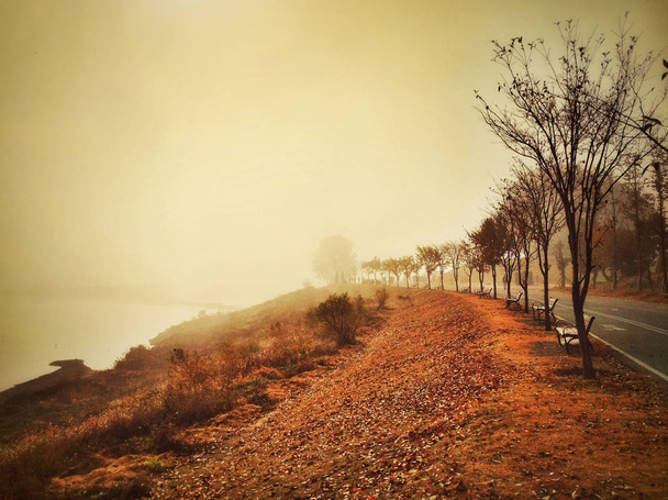 Mattinata pigra su un fiume nebbioso con strada assonnata lungo la costa. Tatto autunnale con foglie arancioni cadute. Atmosfera appannata piena di inquinamento
. - Foto, immagini