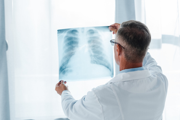 back view of doctor in white coat holding x-ray in hospital  - Zdjęcie, obraz