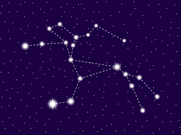 Centaurus-konstelláció. Csillagos éjszakai égbolton. Csillagjegy. Csillagok és galaxisok klaszterje. Mély térben. Vektoros illusztráció - Vektor, kép