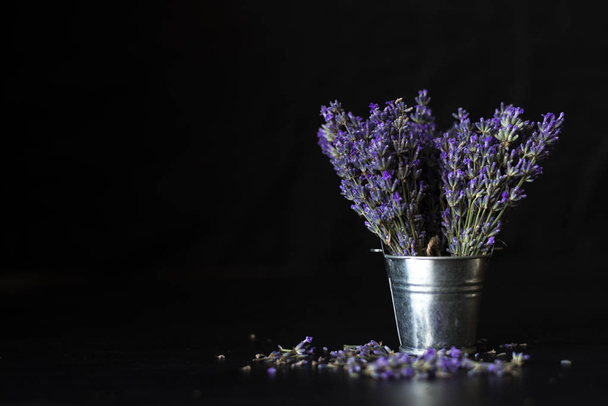 Prowansalskim purpurowe pachnące kwiaty na czarnym tle. - Zdjęcie, obraz