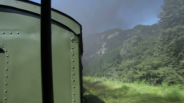 schot van het landschap van de rijdende trein - Video