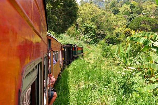Montar en tren en Sri Lanka
 - Foto, Imagen