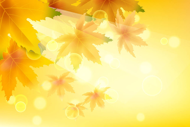 Banner autumn falling leaves template background. Yellow and brown colorful foliage. Banners, flyers, presentations. Vector illustration - Vector, Image