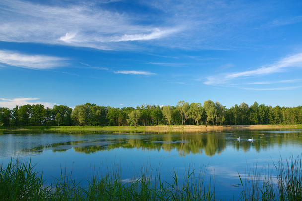Вид на польское озеро
 - Фото, изображение