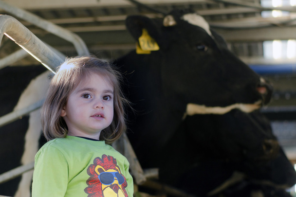 boerderij meisje in koe melken faciliteit - Foto, afbeelding