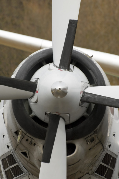Aircraft propeller - Foto, Bild