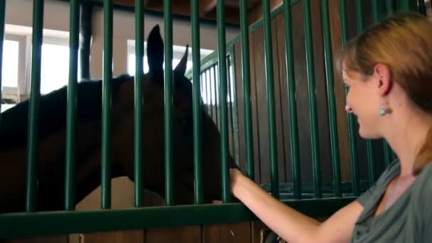 vrouw strelen een donker paard in grote stal - Video