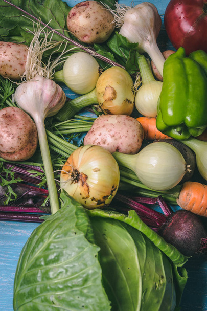 Tomato, cabbage, onion, potato, pepper, garlic, carrot and beetr - Zdjęcie, obraz