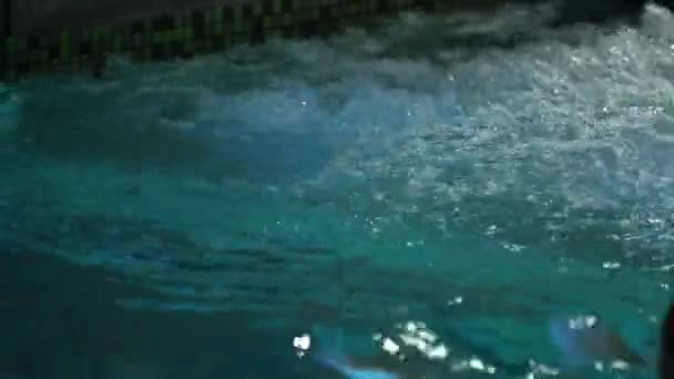 junges Paar im großen Schwimmbad - Filmmaterial, Video