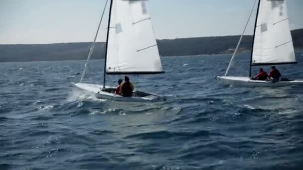波状広い海で競争ヨット - 映像、動画