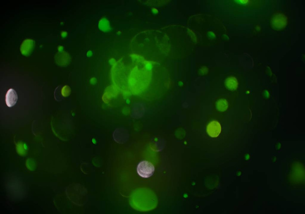 abstract glowing shiny bokeh dust glitters background - Foto, Imagem