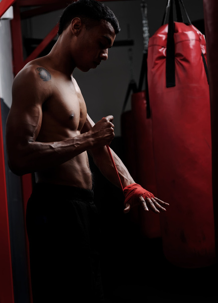 boxer protection - Foto, afbeelding