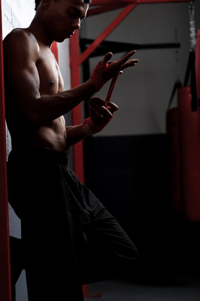 boxer protection - Фото, зображення