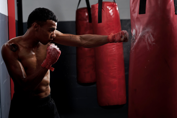 fight training - Foto, imagen