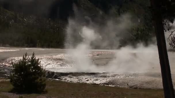 Ausbrechender Geysir, beleuchtet mit Bäumen und Dampf im Yellowstone-Nationalpark - Filmmaterial, Video