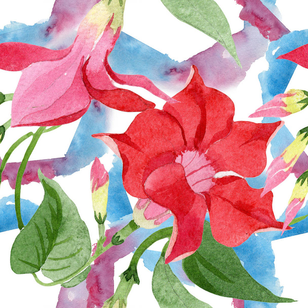 Κόκκινο dipladenia floral βοτανικών λουλουδιών. Σύνολο εικονογράφησης φόντου. Ομαλή μοτίβο φόντου. - Φωτογραφία, εικόνα